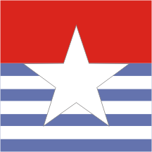 [River Patrol flag]